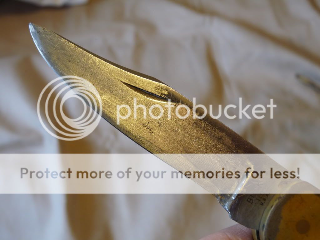 buck110blade-1.jpg