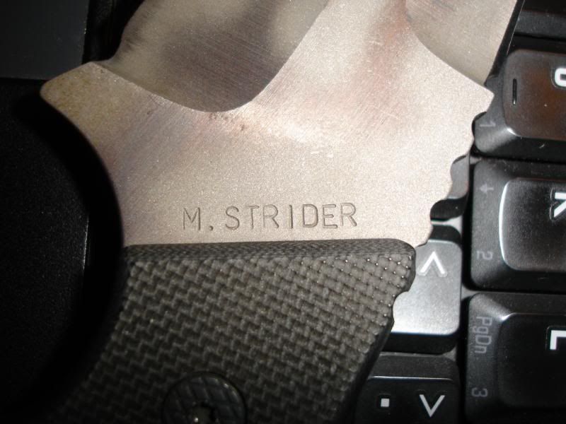 Strider003.jpg