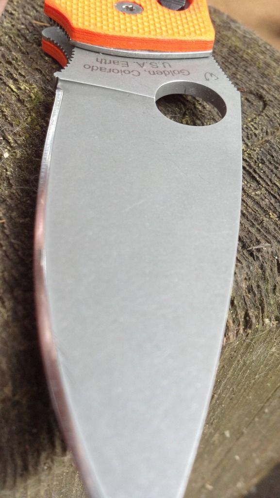 3BD71B8C-orig.jpg