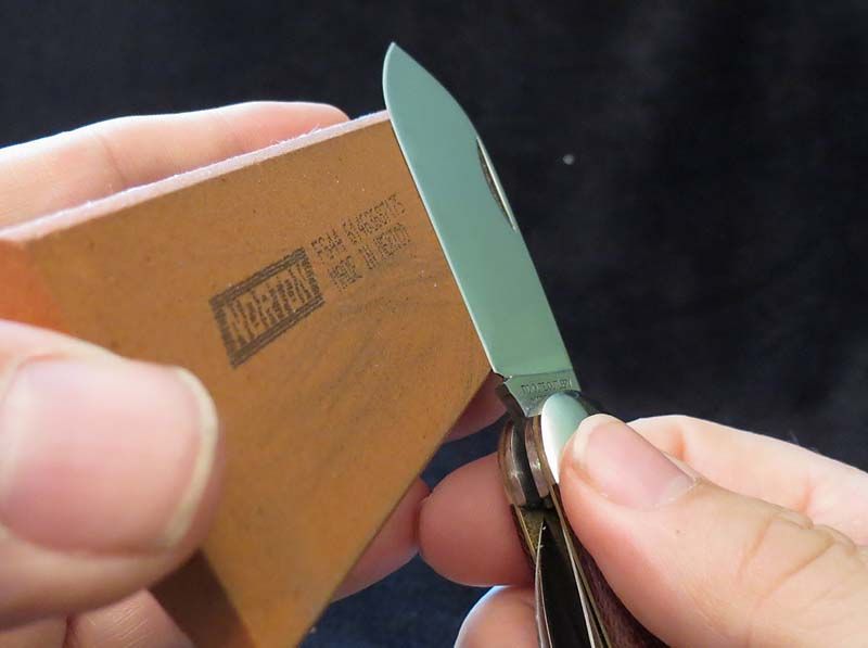 sharp7.jpg