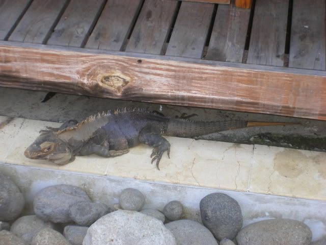 CostaRica007.jpg