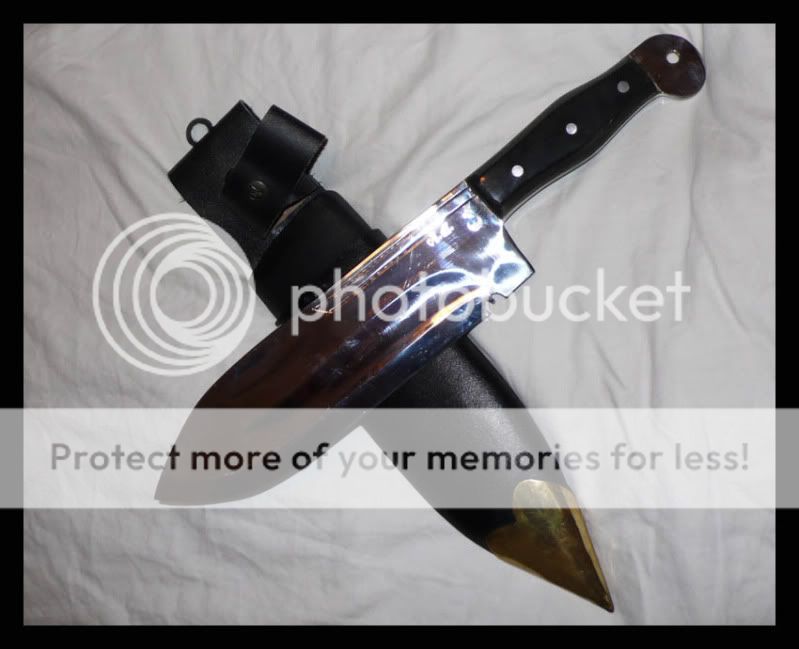 HimalayanBowie.jpg
