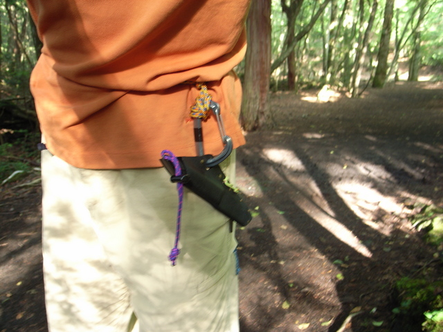 2009.07.04.R0018820.JPG