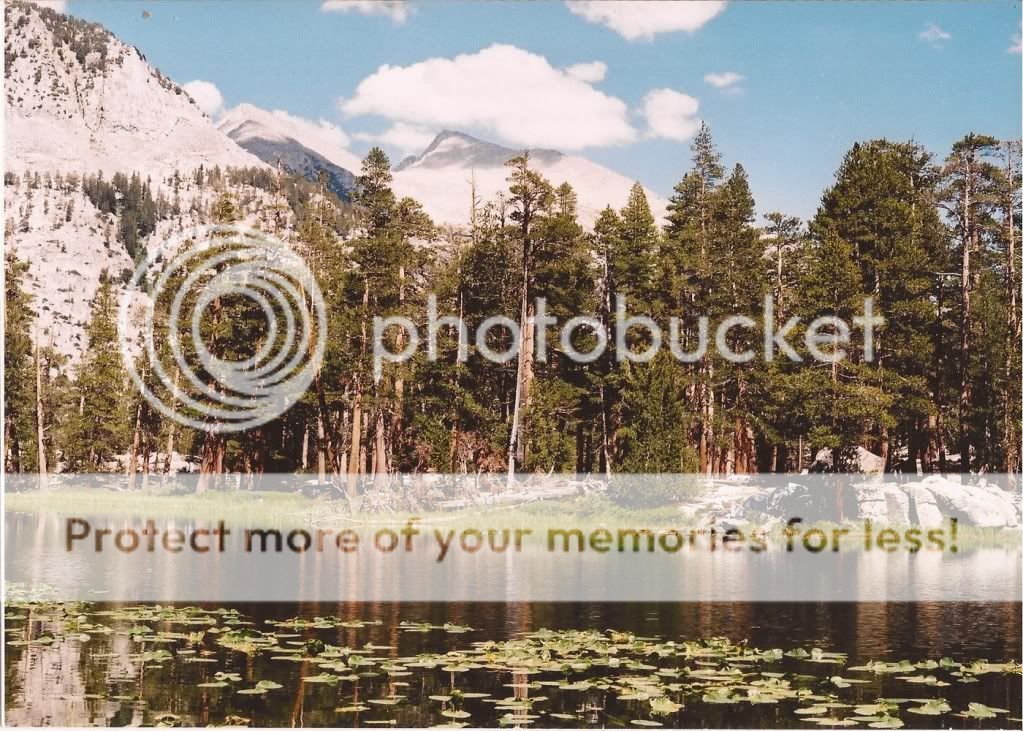 BearTwinLakes2.jpg