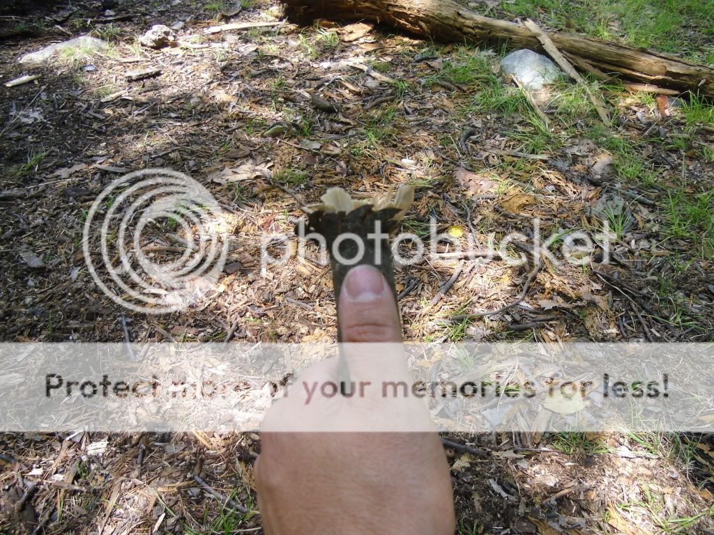 PICT0099.jpg