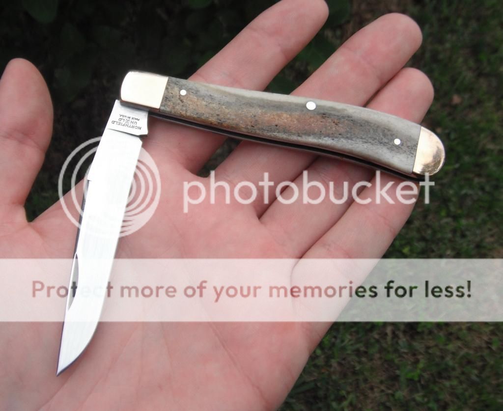 DSCF8279_zpsd38a4323.jpg~original