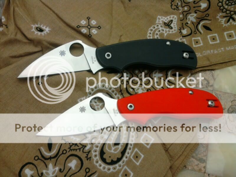 1299115518-picsay.jpg