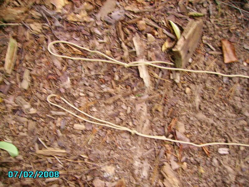 PICT0741.jpg