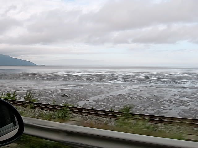 LowTide.jpg