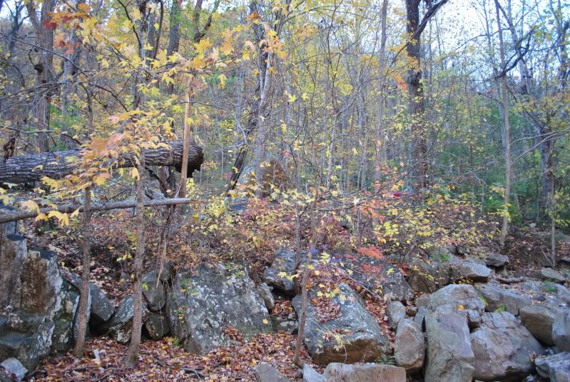 DSC_7927.jpg