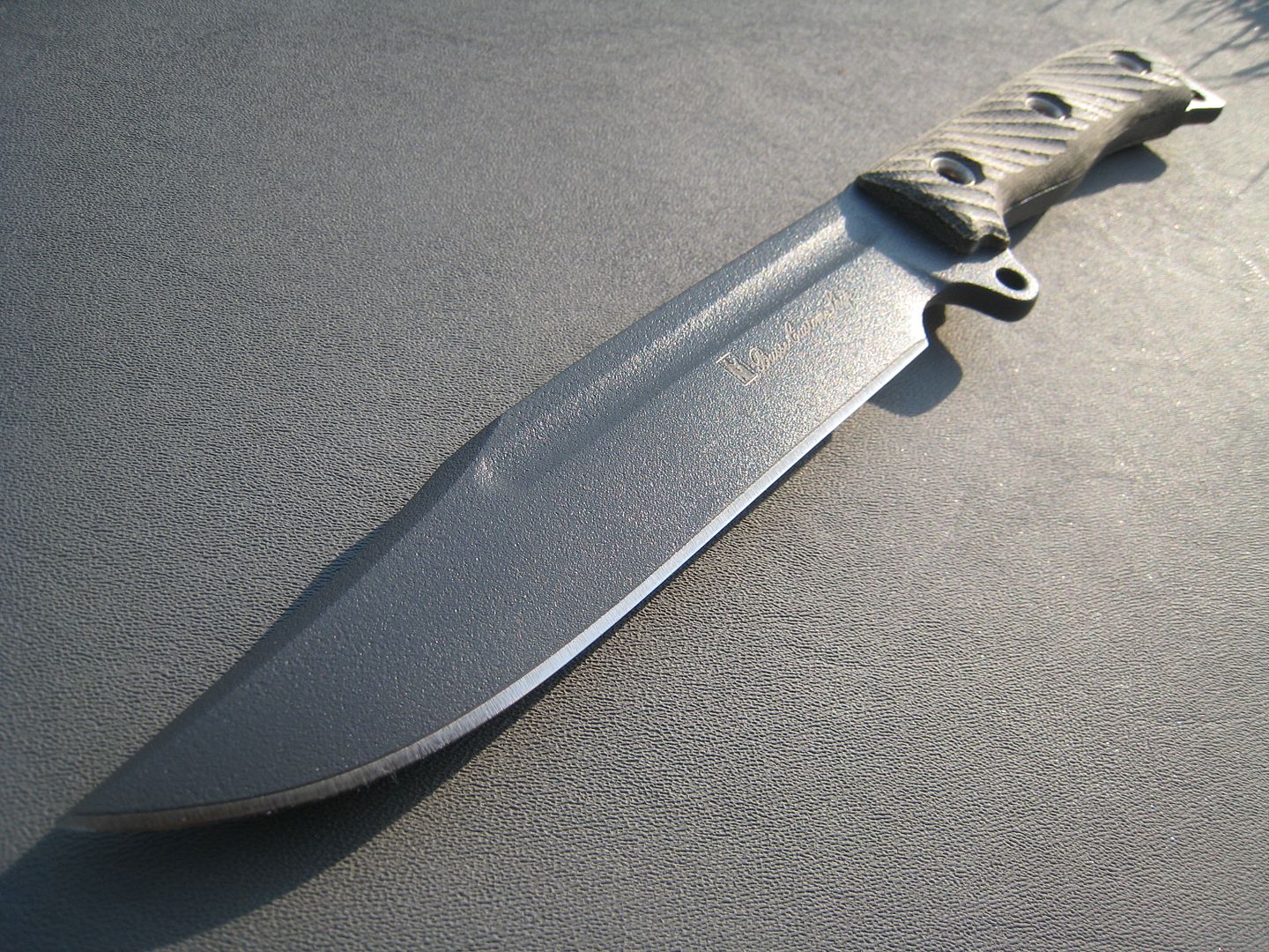 542.jpg