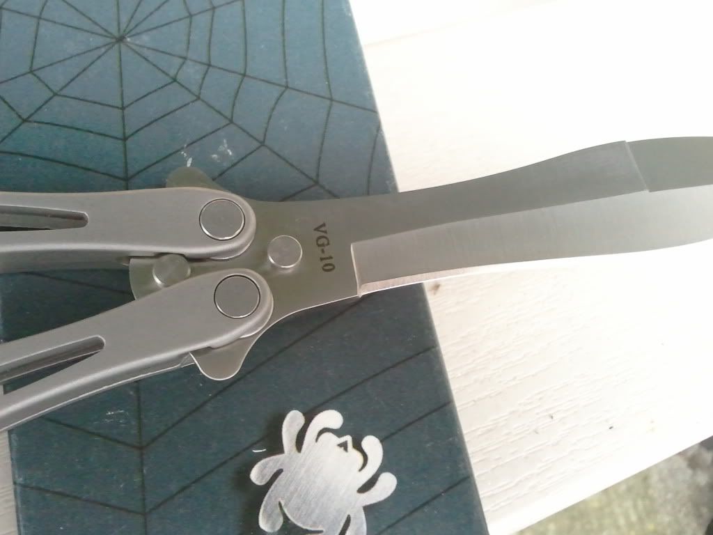 2011-02-05133539.jpg