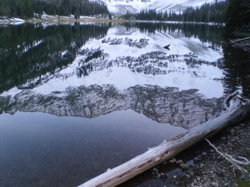 mooselakereflection_zps923ea6aa.jpg