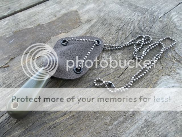 100_3271.jpg