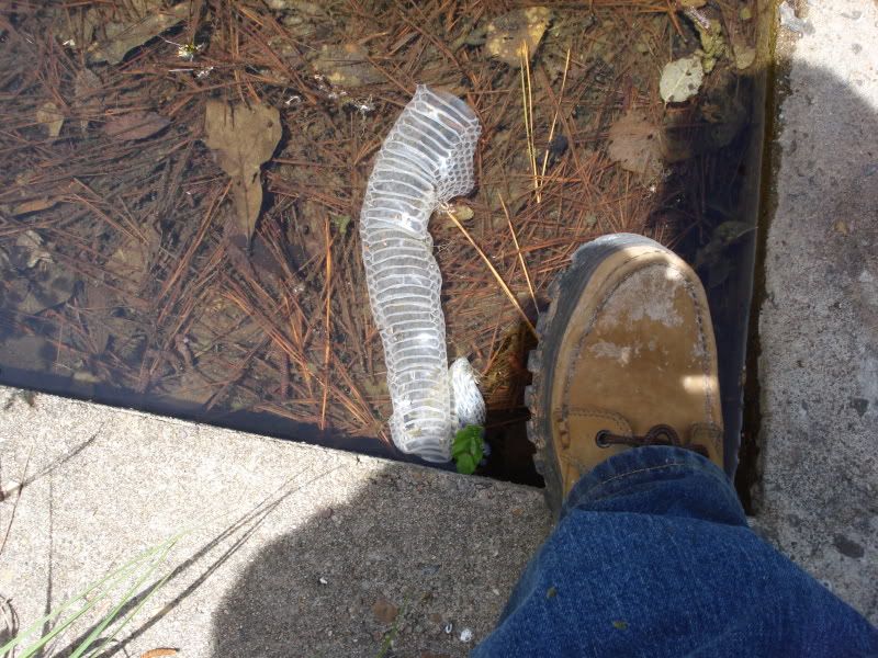20090409_19.jpg