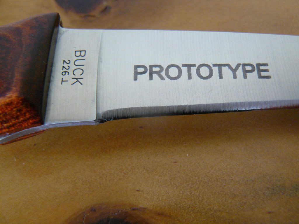P1050094.jpg