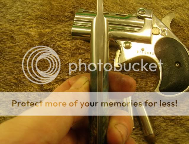 HPIM0988.jpg