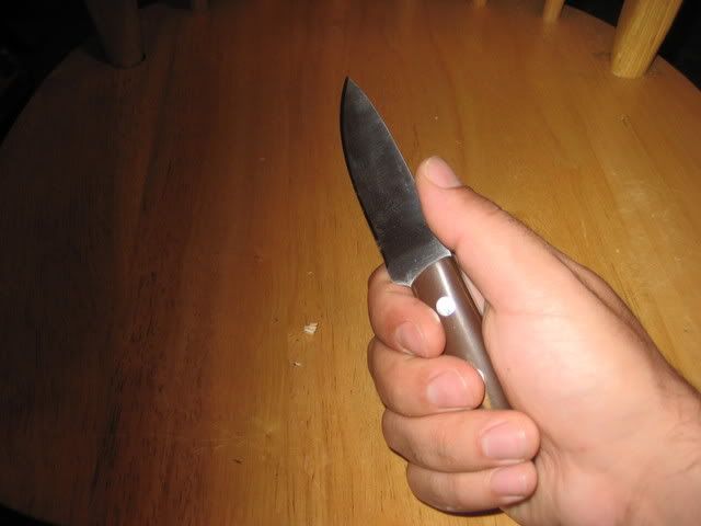 edc010.jpg