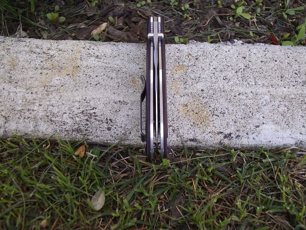 P4300005.jpg