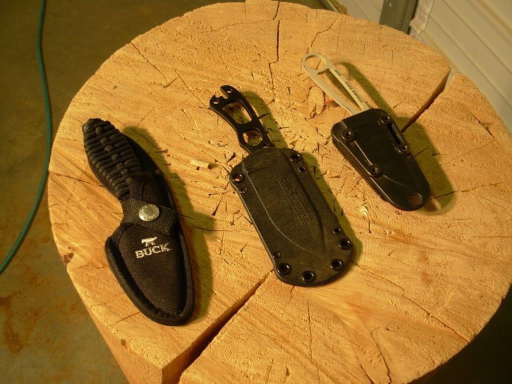 DSCN0186.jpg