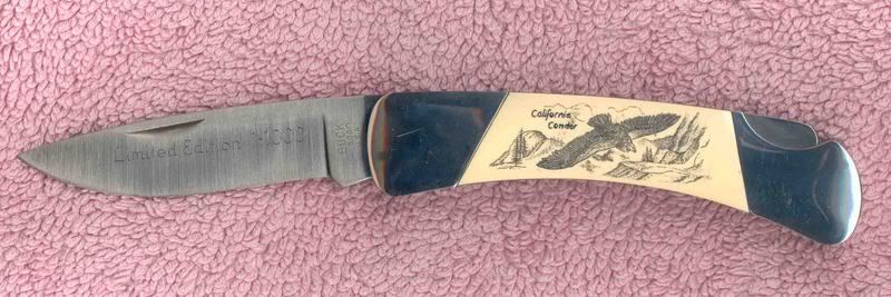Buck500ScrimshawII.jpg