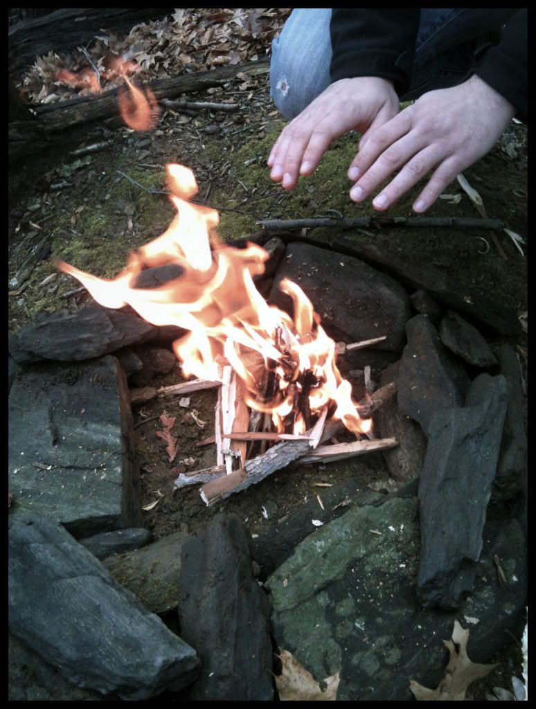 pic7.jpg