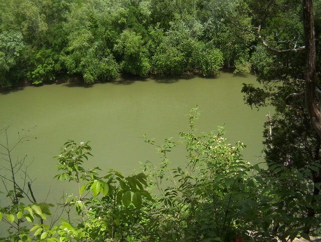 100_0410.jpg