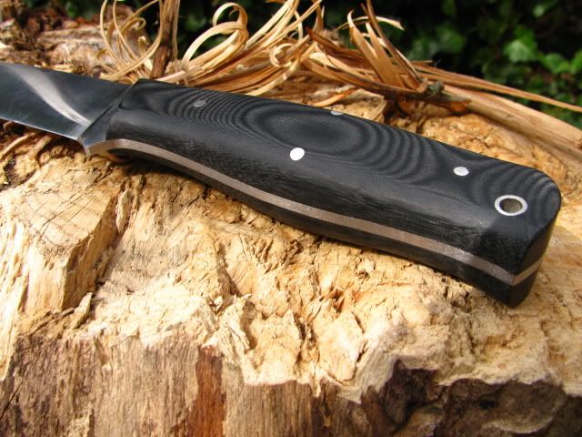 walterdavisandleatherman006.jpg