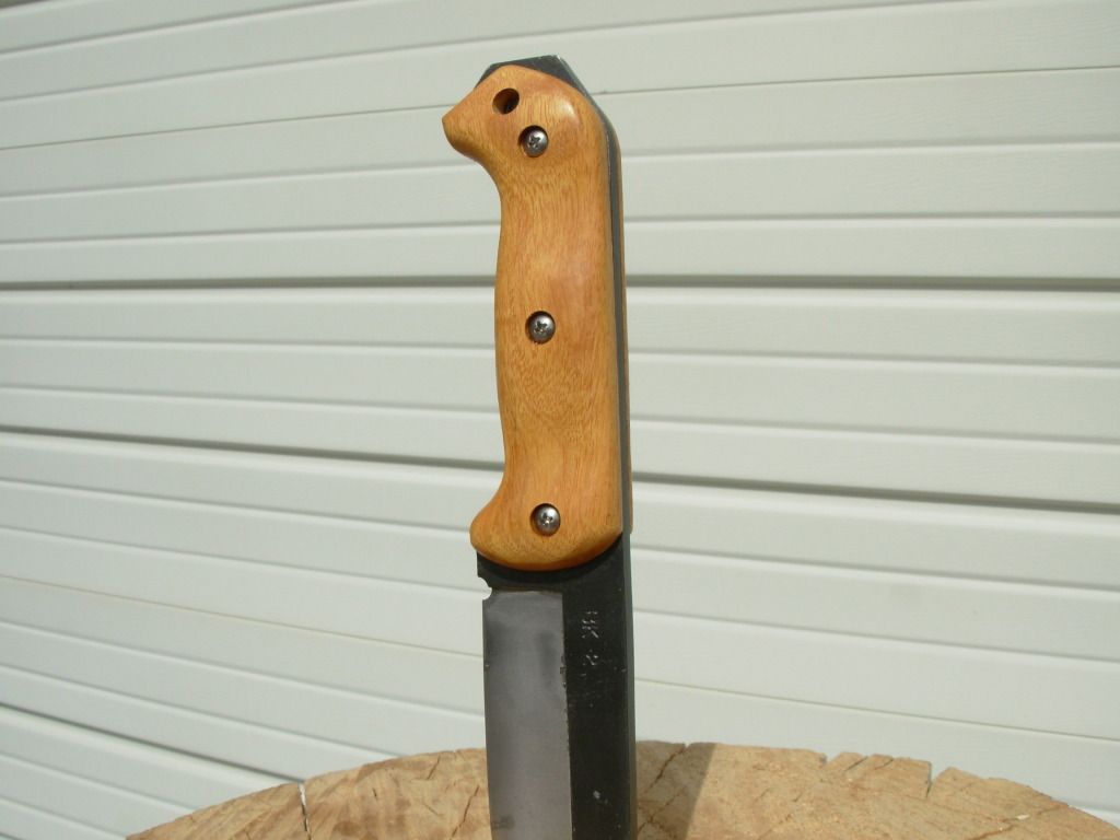 DSCN1405.jpg