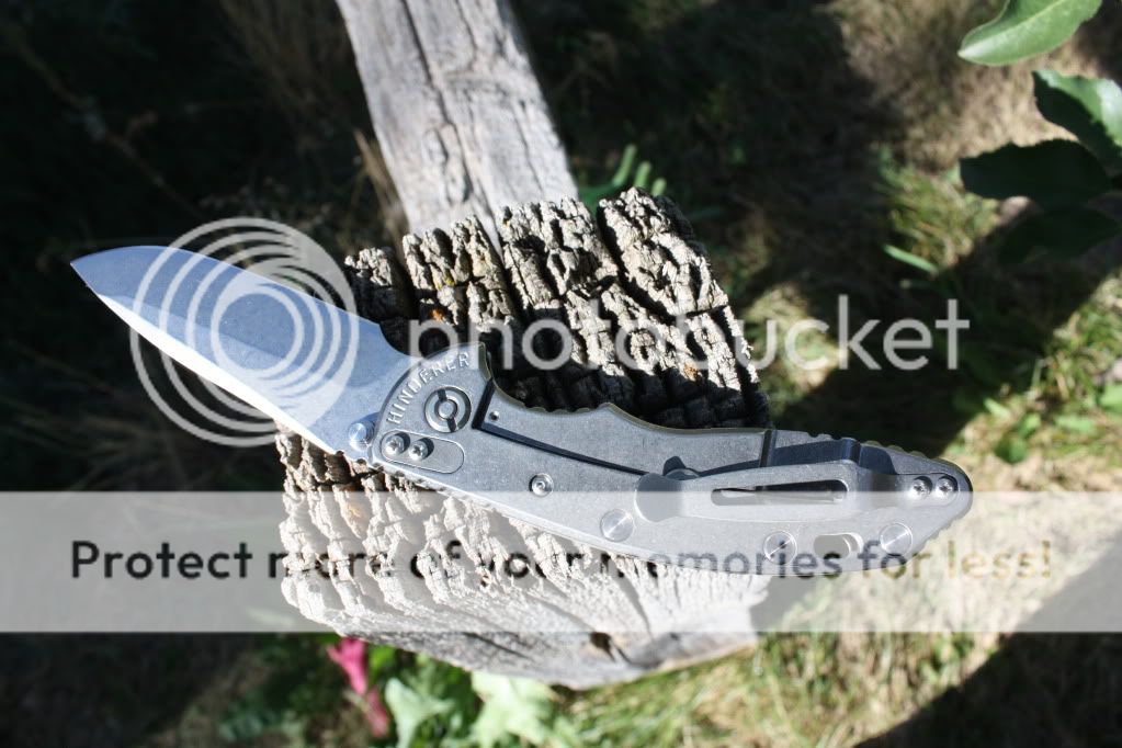8-23-2010086.jpg