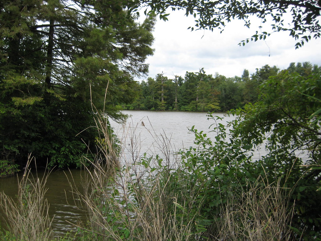 6118184296_09b7626897_b.jpg