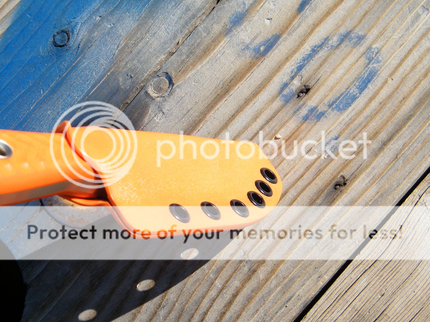 DSCF8056.jpg