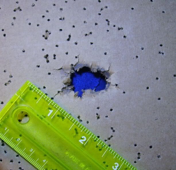 slugs.jpg