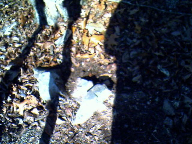 IMG00939.jpg