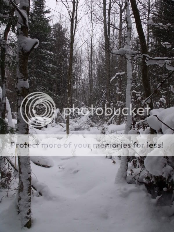 firstsnowshoe2009013.jpg