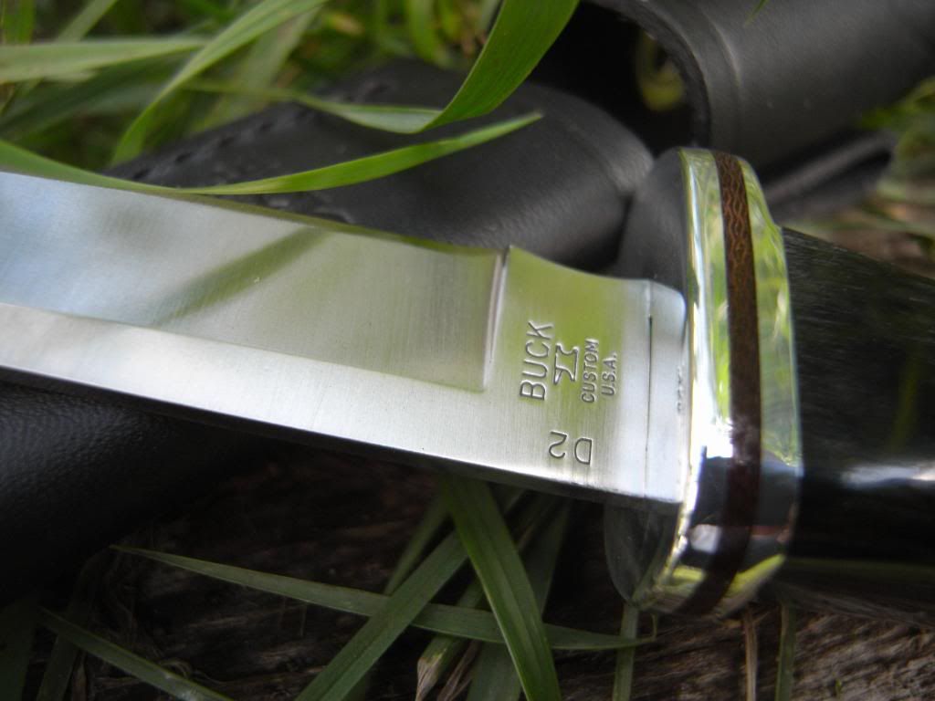 Buck118D2Ricassorechts.jpg