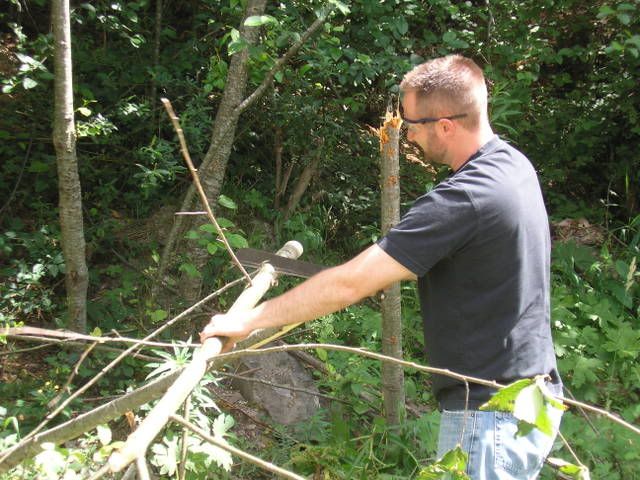 Picture002.jpg