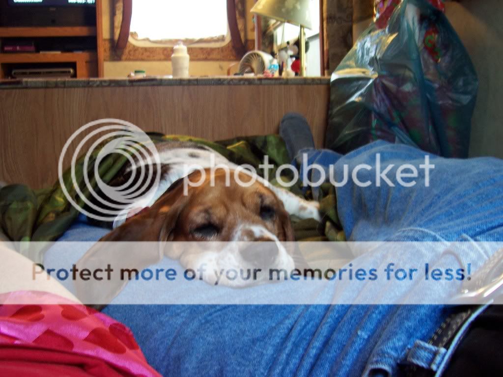 100_0037.jpg