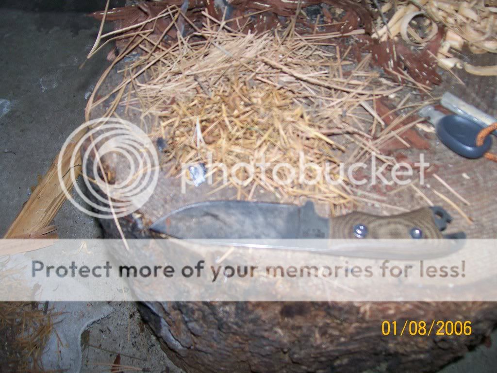 100_3767.jpg