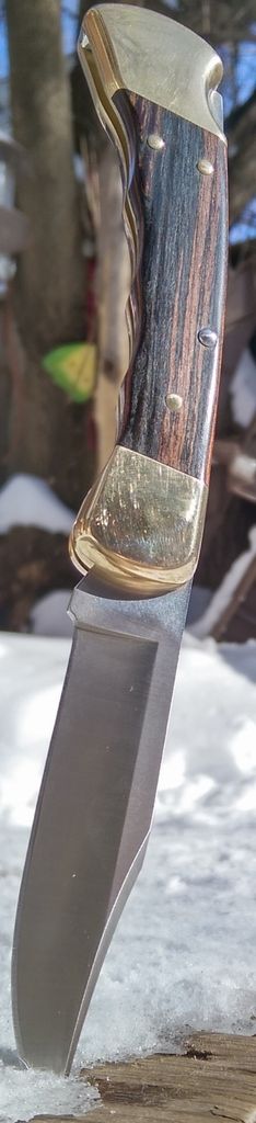 IMAG0572.jpg