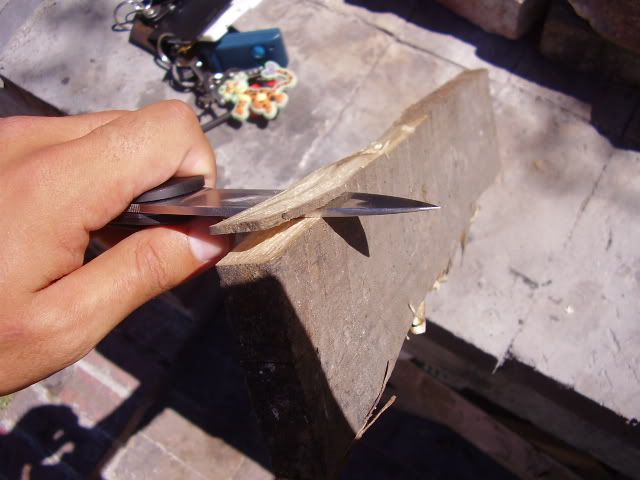 P2260003.jpg