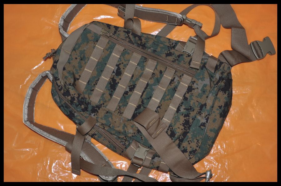 ilbe_assault_pack_01_zps31fbew0a.jpg