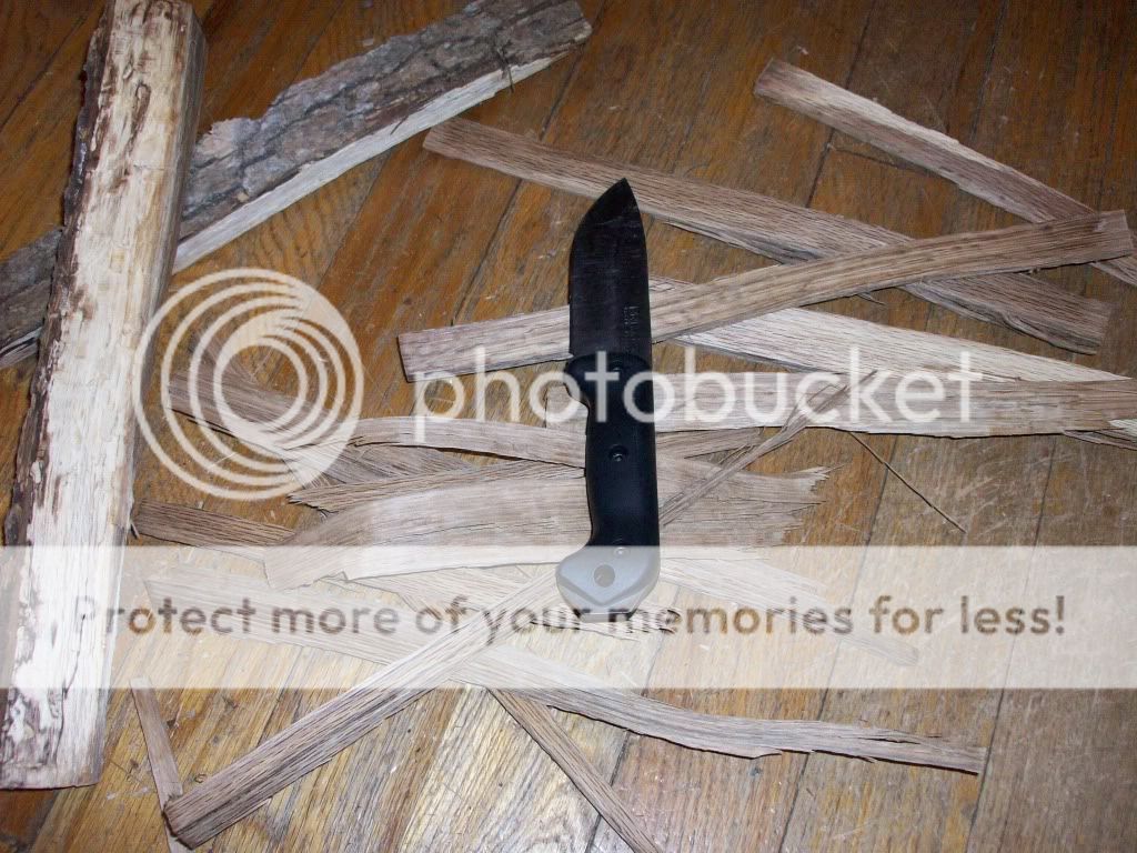 100_3030.jpg