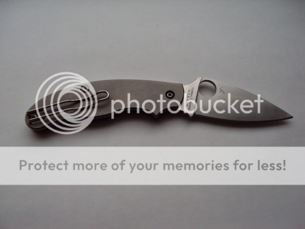 46356432007.jpg