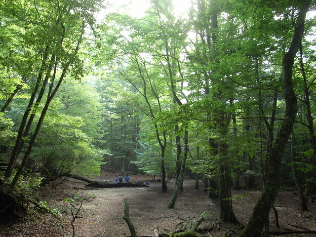 2009.07.04.R0018805.JPG