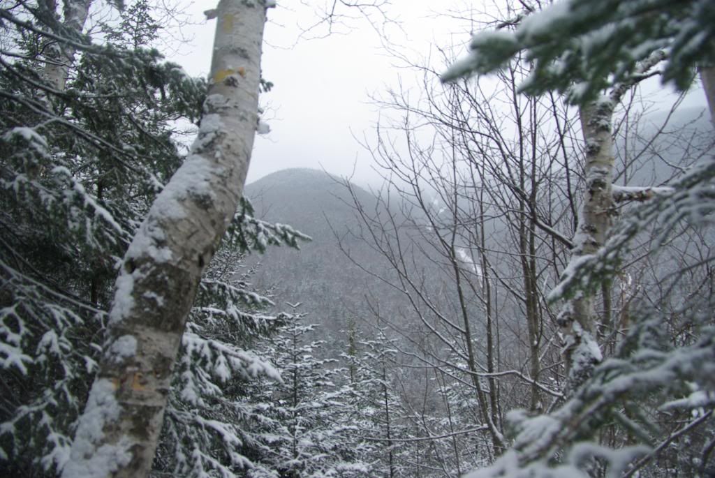 MtLafayette017.jpg