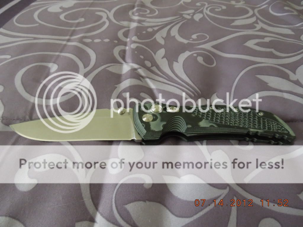 DSCN0595.jpg