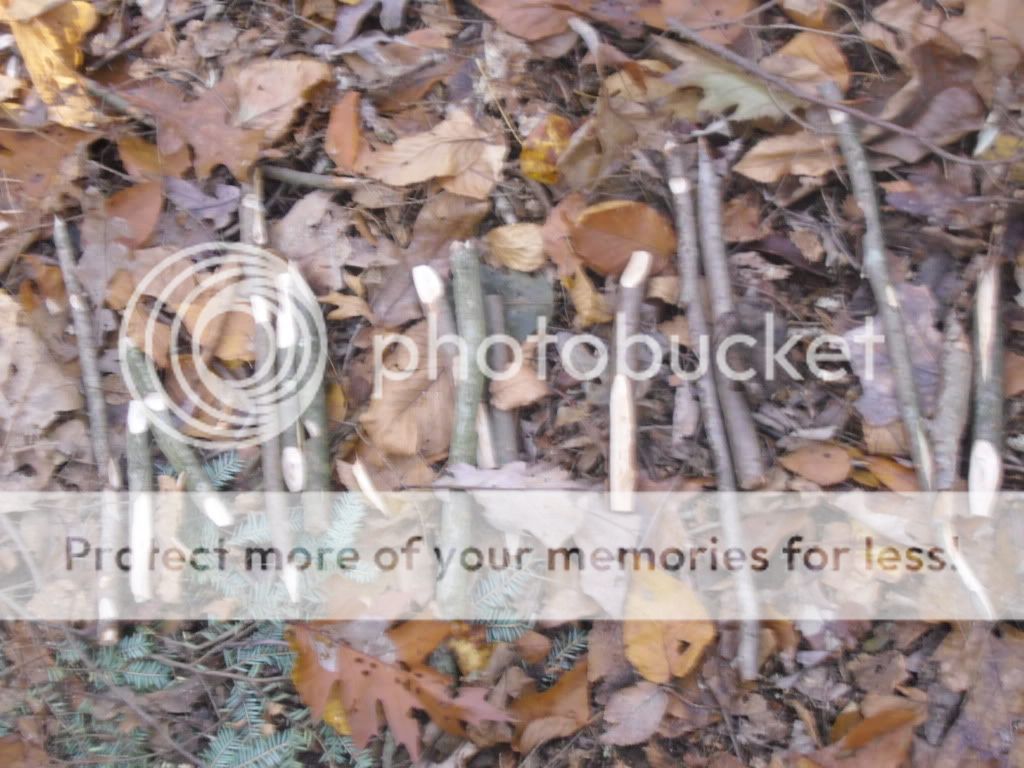 PICT0021-21.jpg