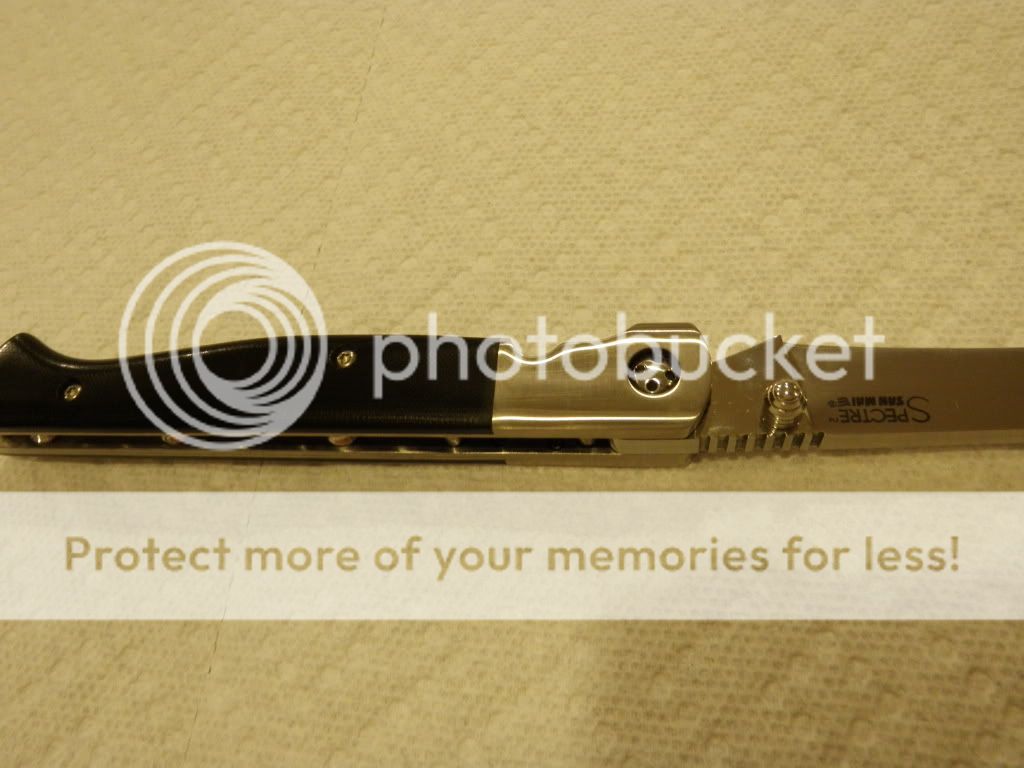 P1050234-2.jpg