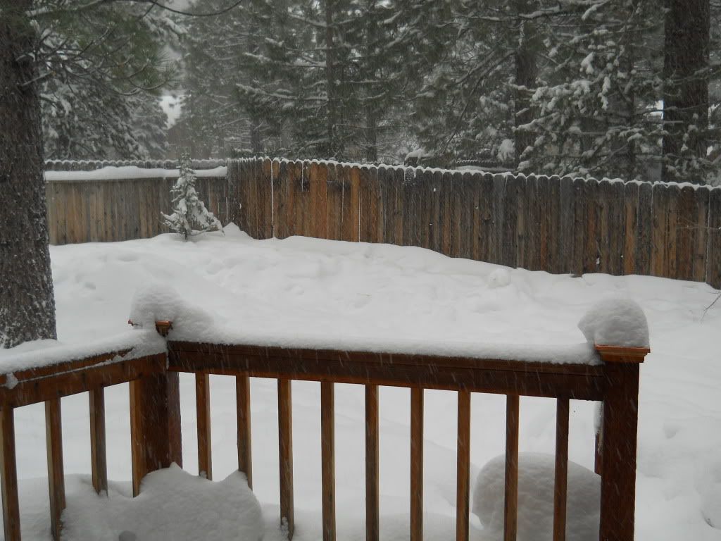 DSCN2733.jpg